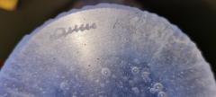Daum Orchid Amethyst Pate de Verre Vase - 4270163