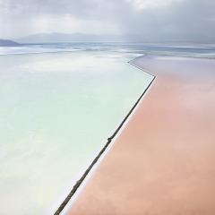 David Burdeny Photosynthetic 1 Great Salt Lake Utah - 2436691