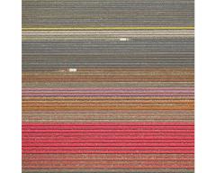 David Burdeny Veld 15 Noordoostpolder The Netherlands  - 1817067