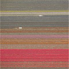 David Burdeny Veld 15 Noordoostpolder The Netherlands  - 1817149