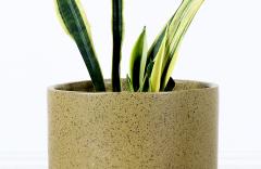 David Cressey California Modern Pro Artisan Olive Green Stoneware Planter by David Cressey - 3156629