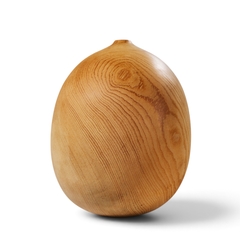 David Ellsworth David Ellsworth Mid Century Hollow Form Vessel Pine Pot - 4792971