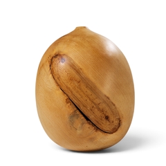 David Ellsworth David Ellsworth Mid Century Hollow Form Vessel Pine Pot - 4792973