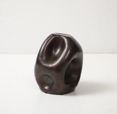 David Haskell Pierced Amorphic Sculpture in Bronze by David Haskell - 4260566