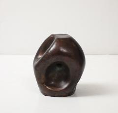 David Haskell Pierced Amorphic Sculpture in Bronze by David Haskell - 4260567