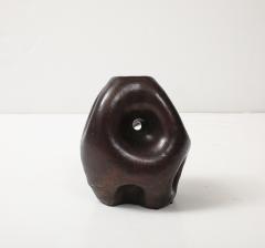 David Haskell Pierced Amorphic Sculpture in Bronze by David Haskell - 4260569