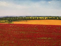 David J Williams A Sea Of Poppies - 1605301