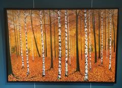 David J Williams Golden Birches - 1605324