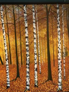 David J Williams Golden Birches - 1605326