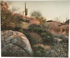 David Kessler Sonoran Display - 516524