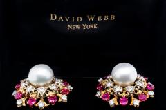 David Webb David Webb Pearl Diamond Ruby Earrings - 1668448