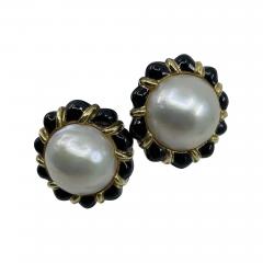 David Webb Mabe David Webb Earrings - 1776101