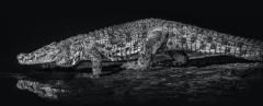 David Yarrow 10 000 BC - 3508498