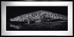 David Yarrow 10 000 BC - 3534576