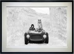 David Yarrow 1953 B W  - 3623706