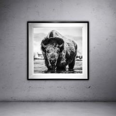 David Yarrow Boogie Nights - 3425021