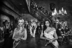 David Yarrow Buffalo Joes - 3156005