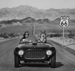 David Yarrow Ferrari - 3118215