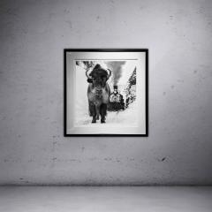 David Yarrow I Walk the Line - 3460432