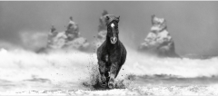 David Yarrow My Perfect Storm - 3629484