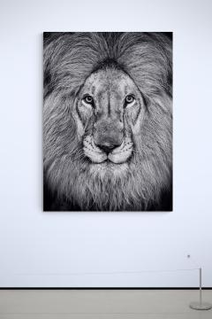 David Yarrow The Kings Speech - 3158976