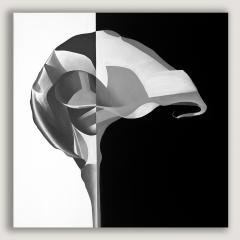 Deborah Bigeleisen Duality 1 - 4123534
