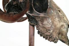 Decorative Ram s Skull Silver Plated - 2623842
