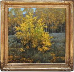 Dennis Doheny Young Aspen - 4150980