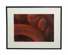 Detail Color Photograph Of Red Abstract Shapes - 3174667