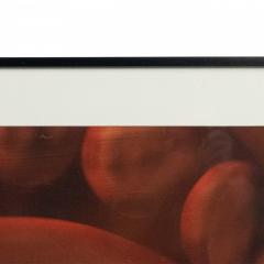 Detail Color Photograph Of Red Abstract Shapes - 3174668