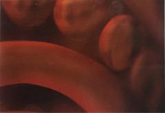 Detail Color Photograph Of Red Abstract Shapes - 3178994