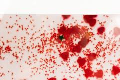 Detail Color Photograph Of Red Confetti - 3185126