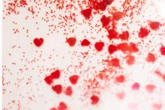 Detail Color Photograph Of Red Confetti - 3185133