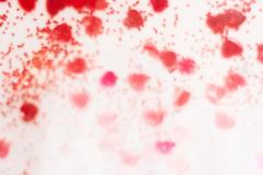 Detail Color Photograph Of Red Confetti - 3185134