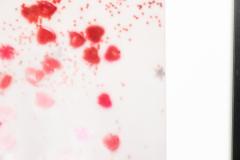 Detail Color Photograph Of Red Confetti - 3185135