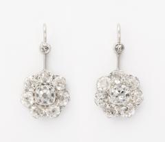 Diamond Cluster Earrings in Platinum - 201741