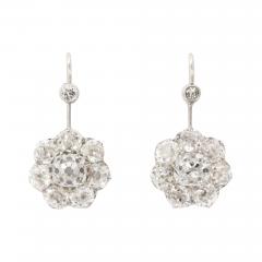 Diamond Cluster Earrings in Platinum - 202959