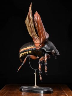 Didactical Model of a Cockchafer or May bug labeled - 4267609