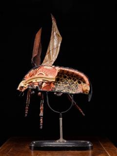 Didactical Model of a Cockchafer or May bug labeled - 4267612