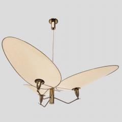 Diego Mardegan Spider special 150 Zero Point 5 ceiling light by Diego Mardegan - 4757598