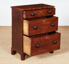 Diminutive Regency Chest - 3913063