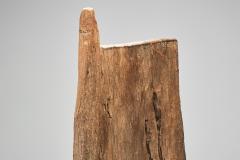 Dogon Door with Carved Details Mali Early 20th Century - 4335430