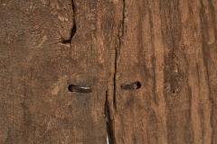Dogon Door with Carved Details Mali Early 20th Century - 4335437