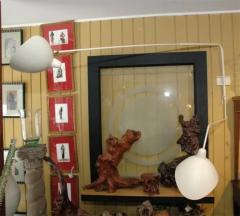 Dombasli Two Arm Rotating Wall Lamp - 3318218