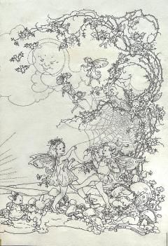 Doreen Baxter Wonderland Tale Fairy Tale Female Illustrator - 3655752