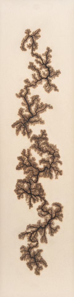 Douglas White Lichtenberg Drawing 4 2026 - 4575646