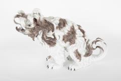 Dresden Figure of a Shaggy Dog - 2104458