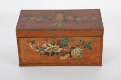 Early 19th Century English Satinwood Painted Tea Caddy - 2679594