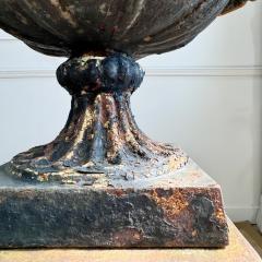 Early 19th Century Handyside Style Cast Iron Tazza Urn on Plinth - 3746048