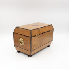 Early 19th Century Solid Lacewood Box with Campaign Handles - 4450976